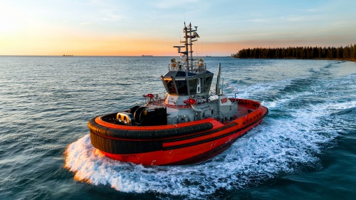 IRON DOVE