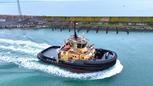 IRON DOVE  was delivered successfully