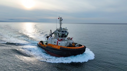 DOUGGA was delivered successfully