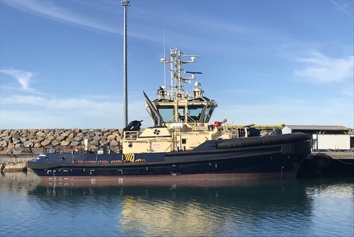 SVITZER KIKONAS